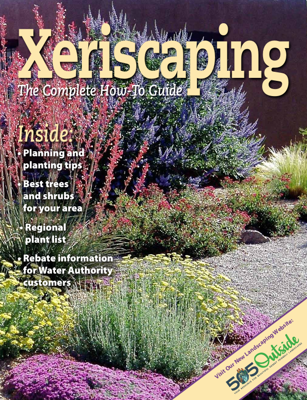 The Complete How-To Guide to Xeriscaping